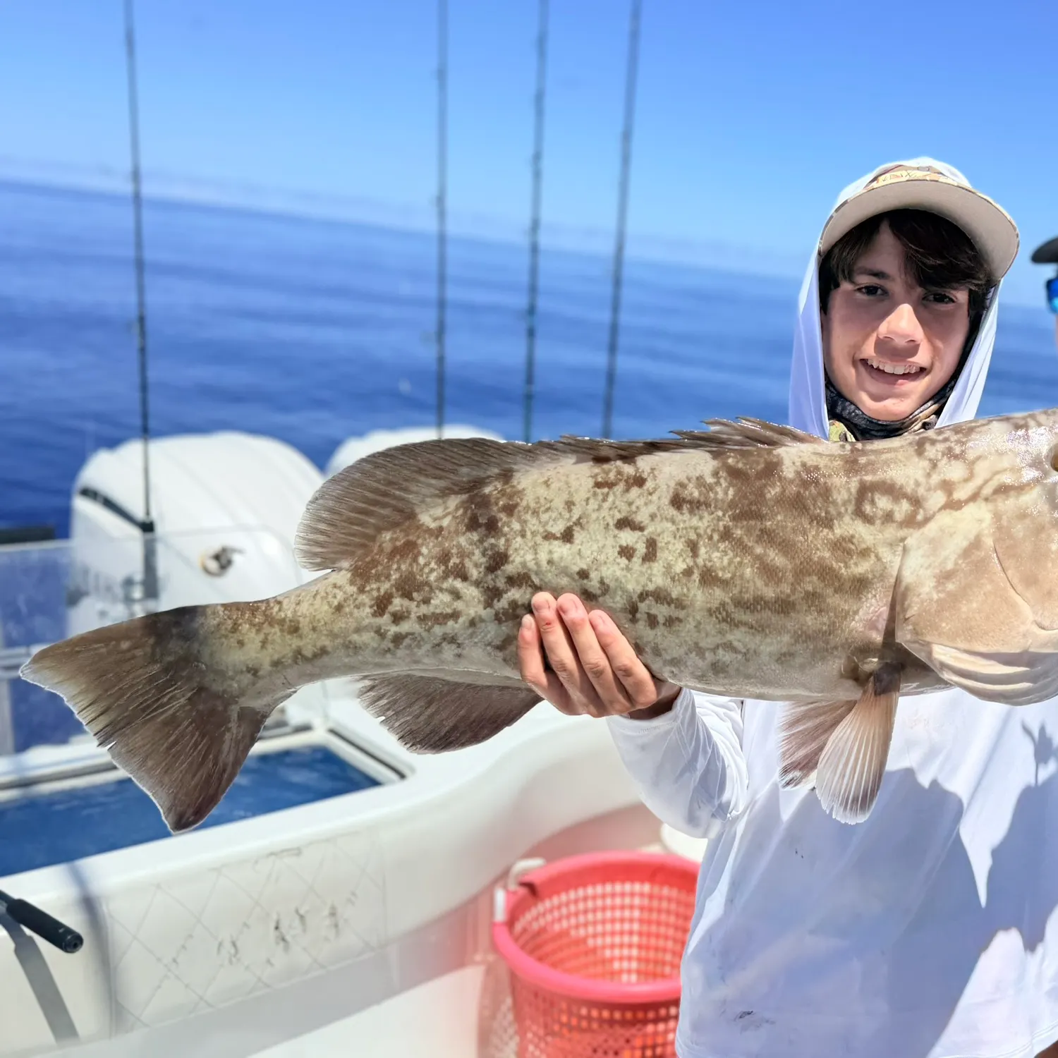 Gag grouper caught on Fishbrain