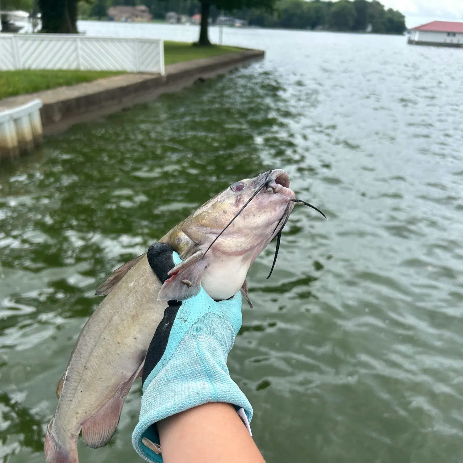 catch