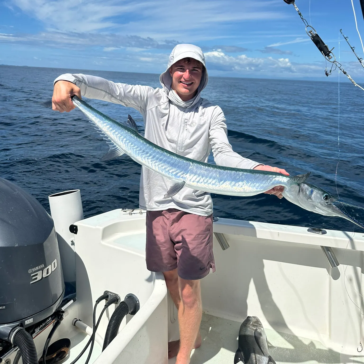 The most recent Flat needlefish catches on Fishbrain