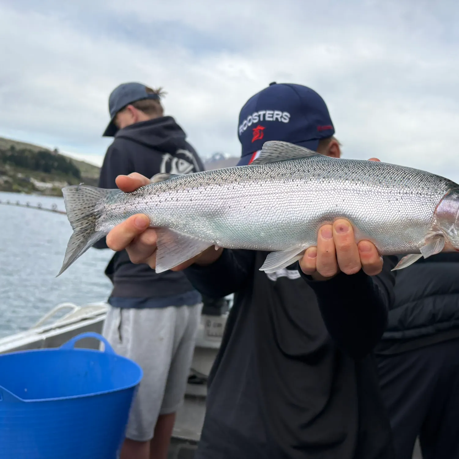 Rainbow trout caught on Fishbrain