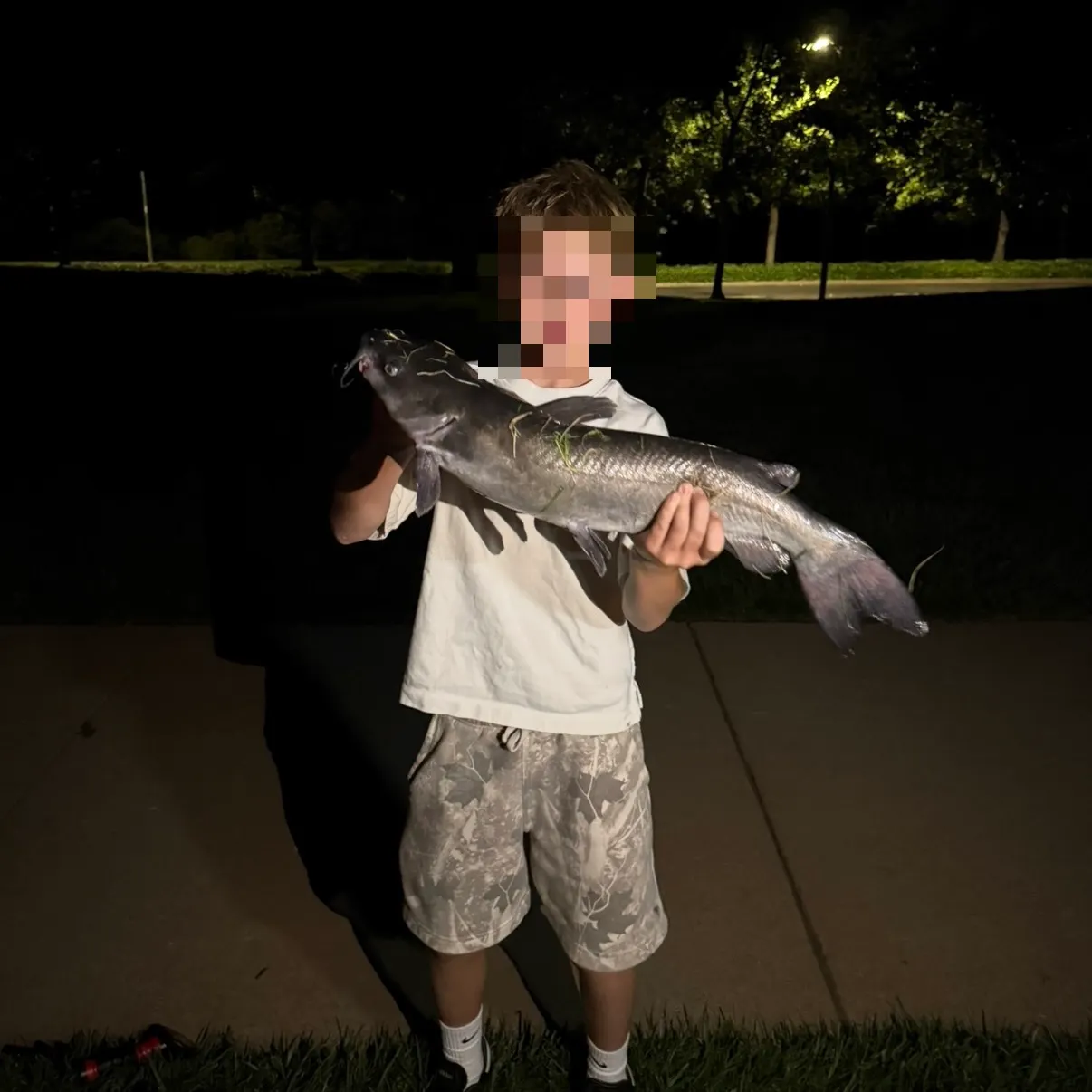 Channel catfish caught on Fishbrain