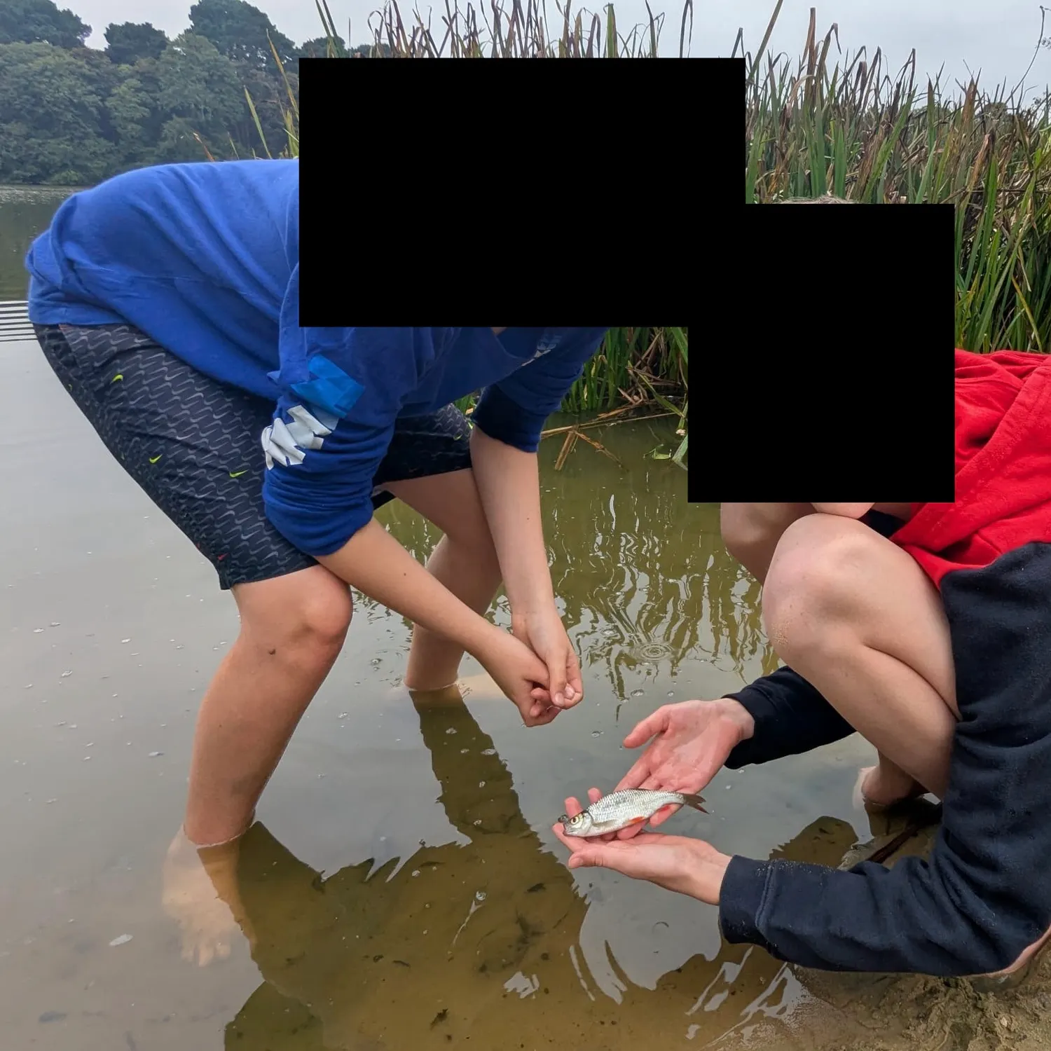 The most recent Cactus roach catches on Fishbrain