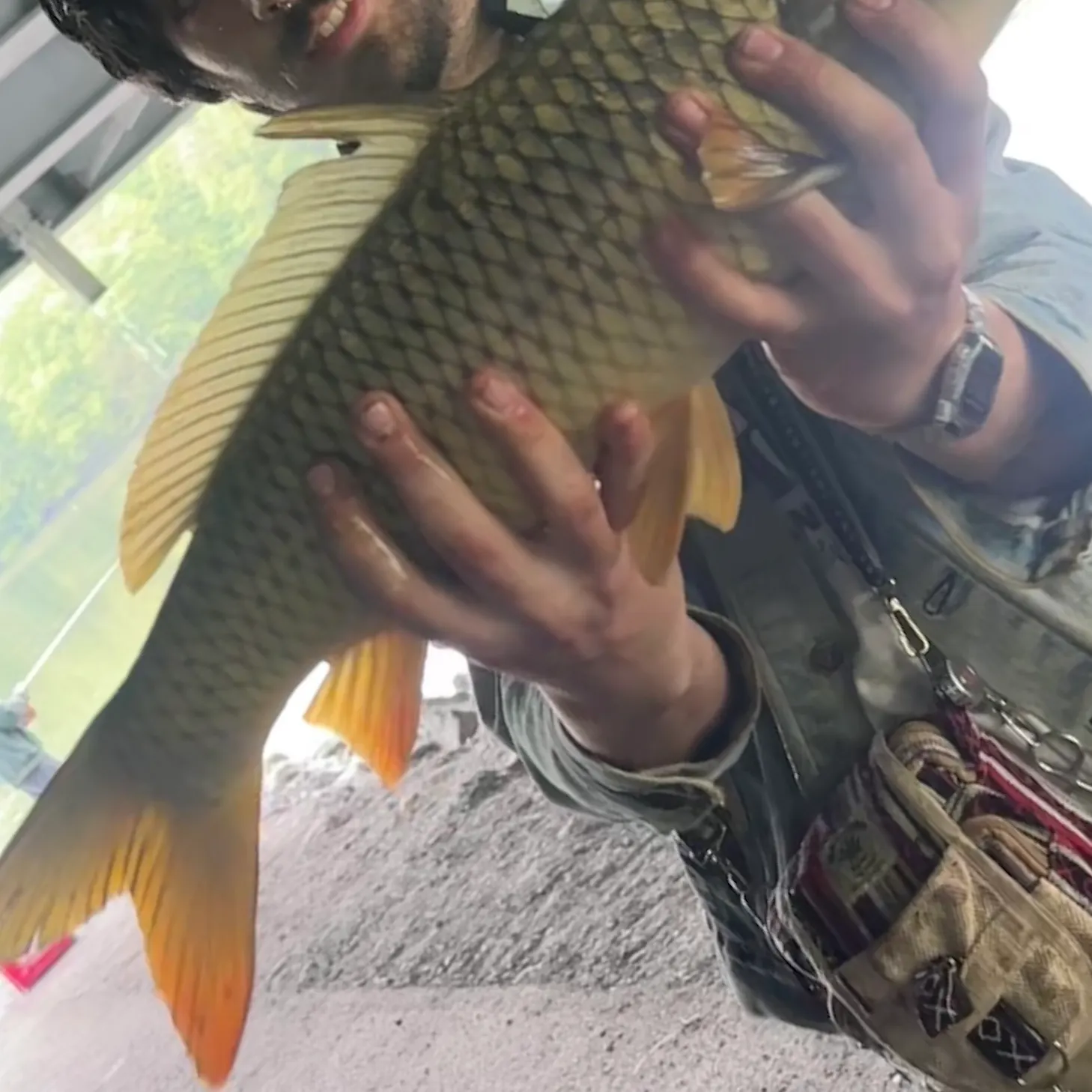 catch