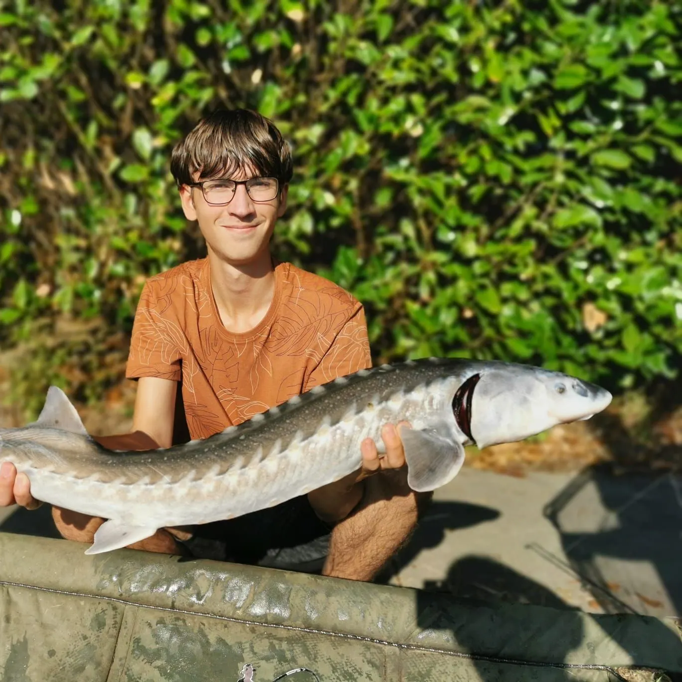 The most recent Siberian sturgeon catches on Fishbrain
