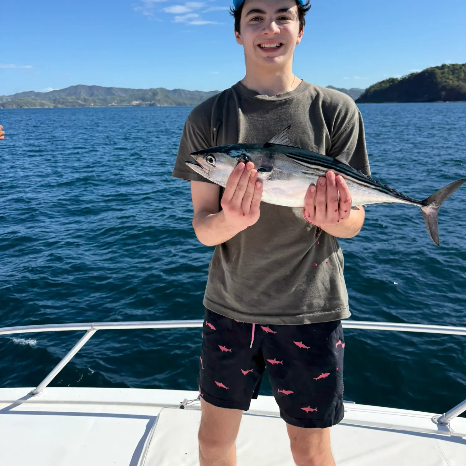 The most recent Eastern Pacific bonito catches on Fishbrain