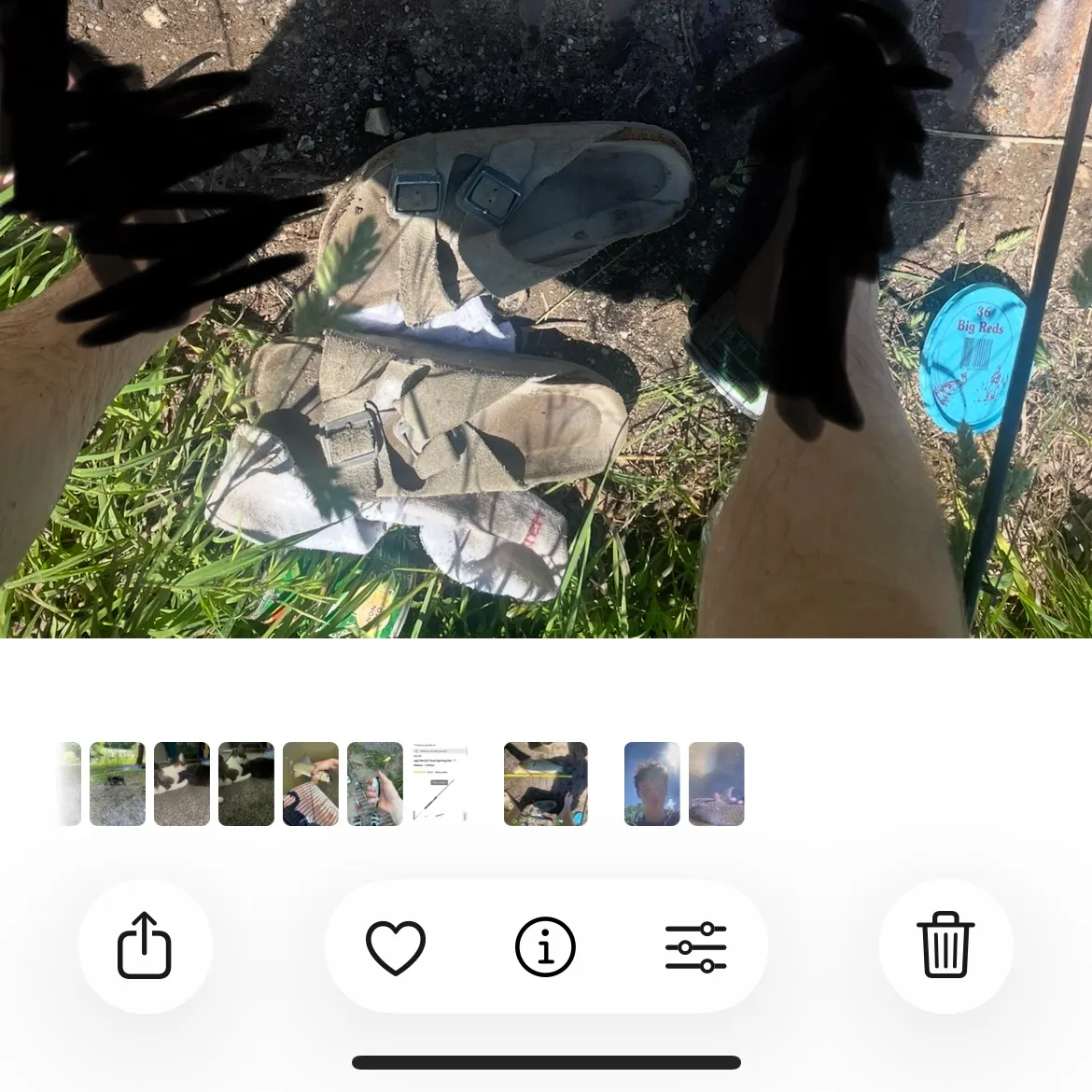 The most recent Quillback catches on Fishbrain