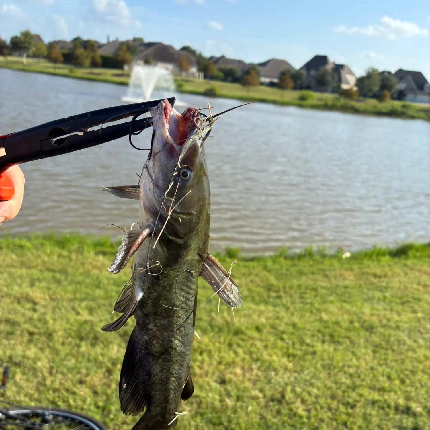 catch
