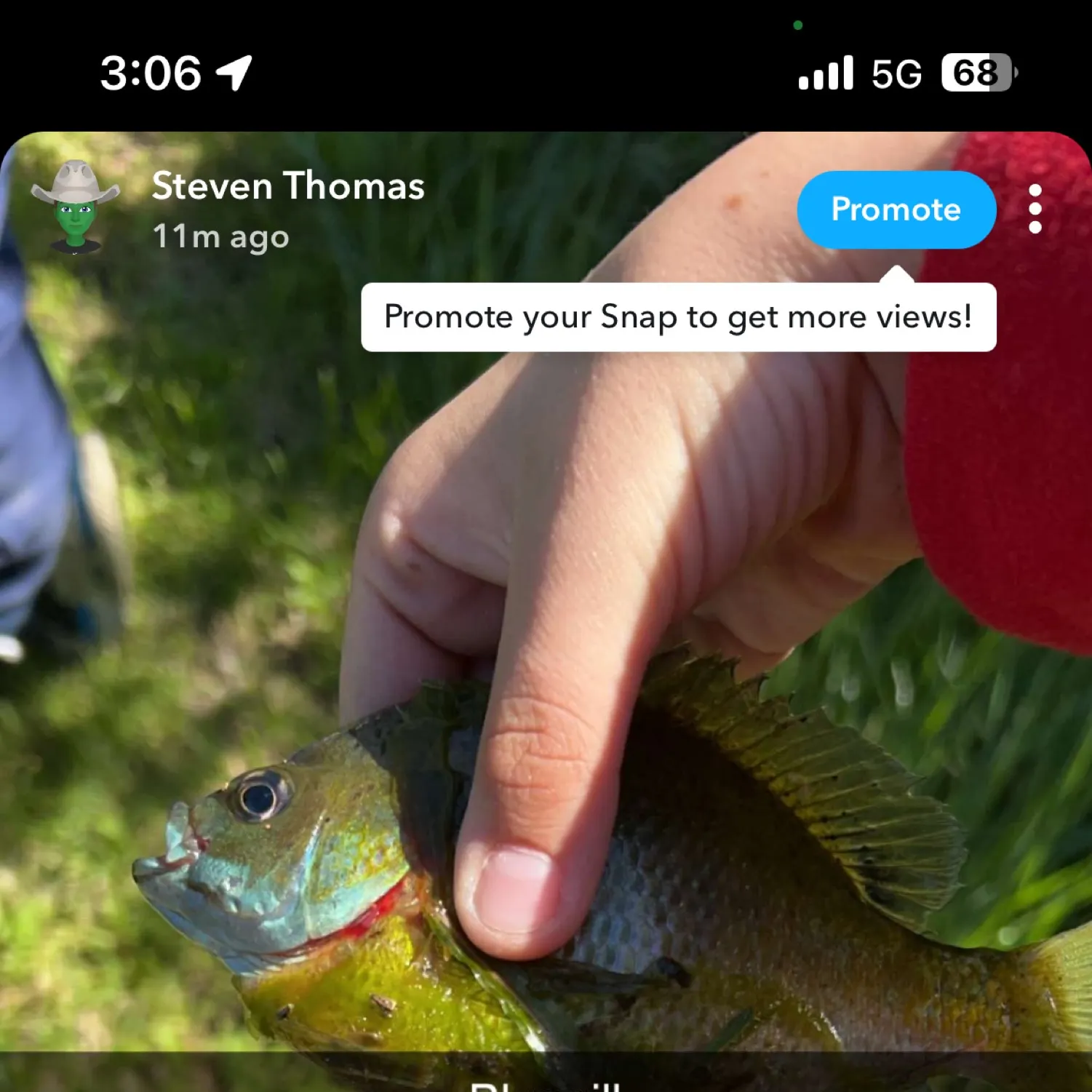 recently logged catches
