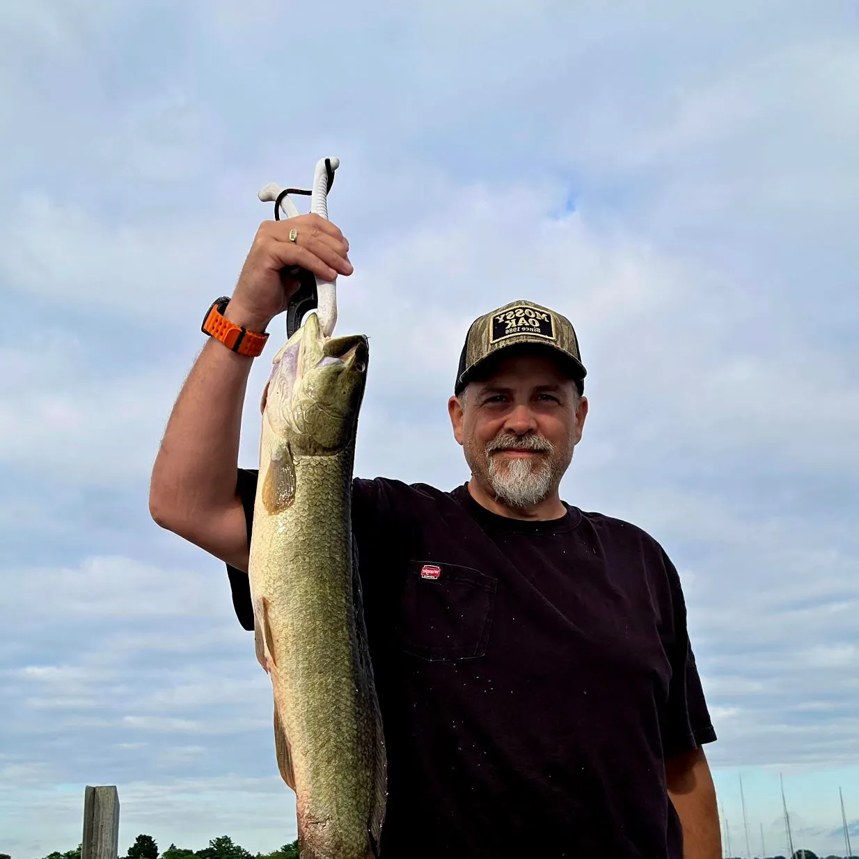 The most recent Eyetail bowfin catches on Fishbrain