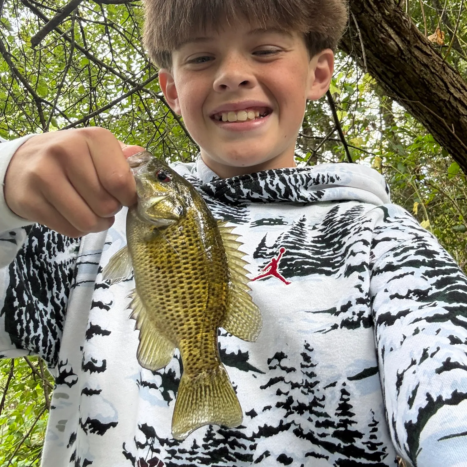 Rock bass caught on Fishbrain