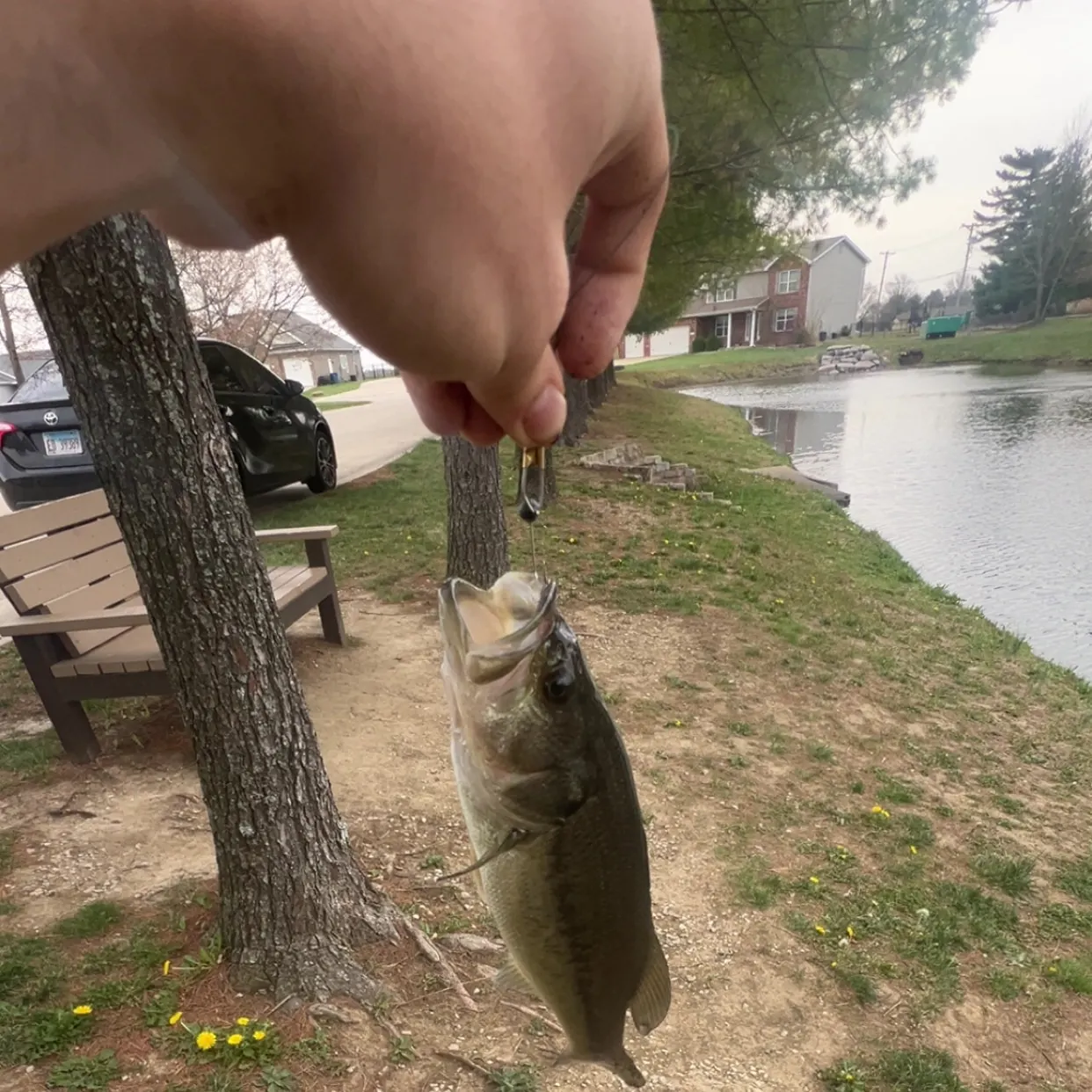 catch
