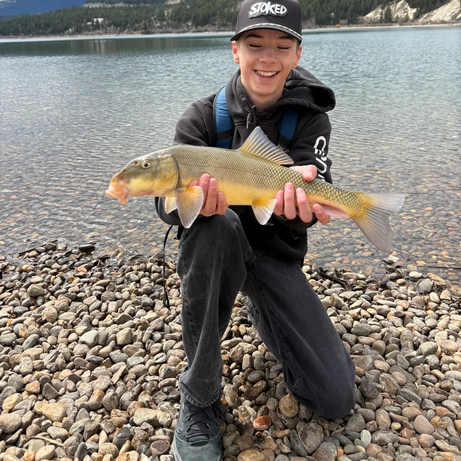 The most recent Largescale sucker catches on Fishbrain