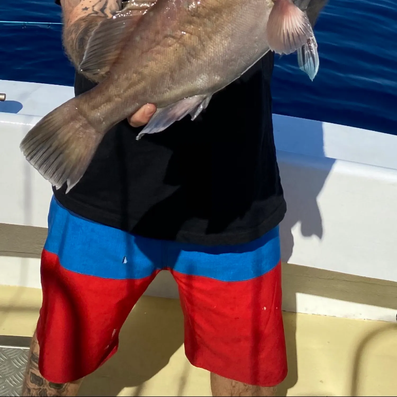 The most popular recent Snowy grouper catch on Fishbrain