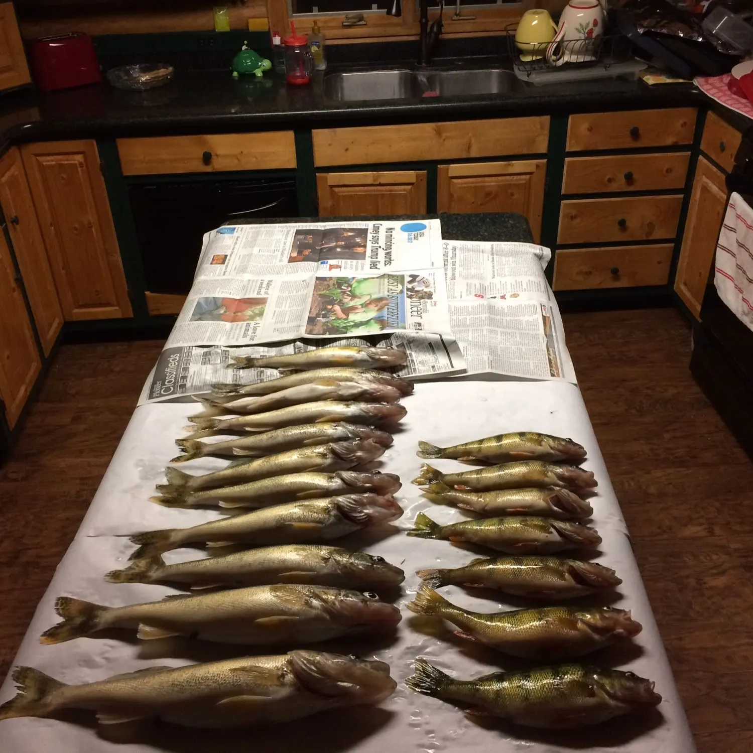 recently logged catches