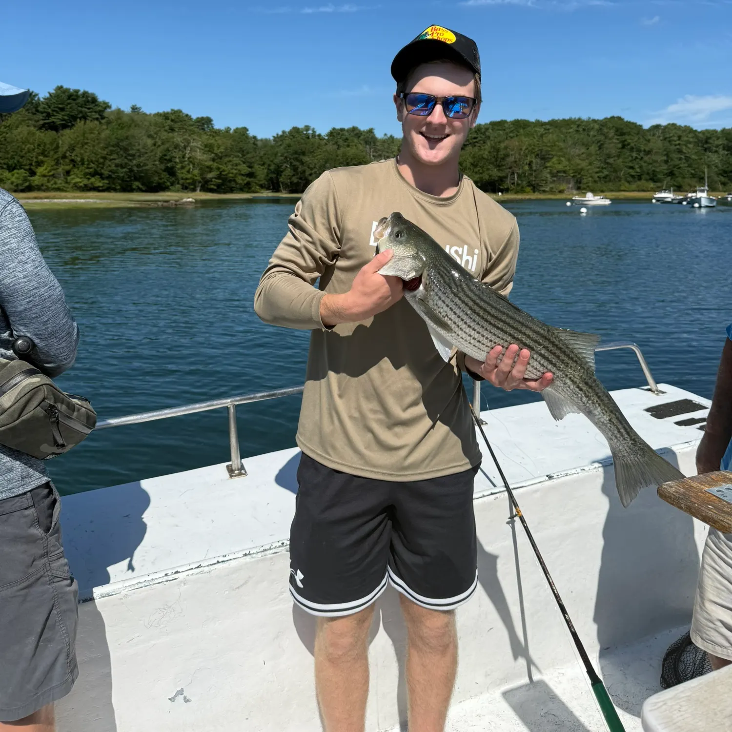 Striped bass caught on Fishbrain