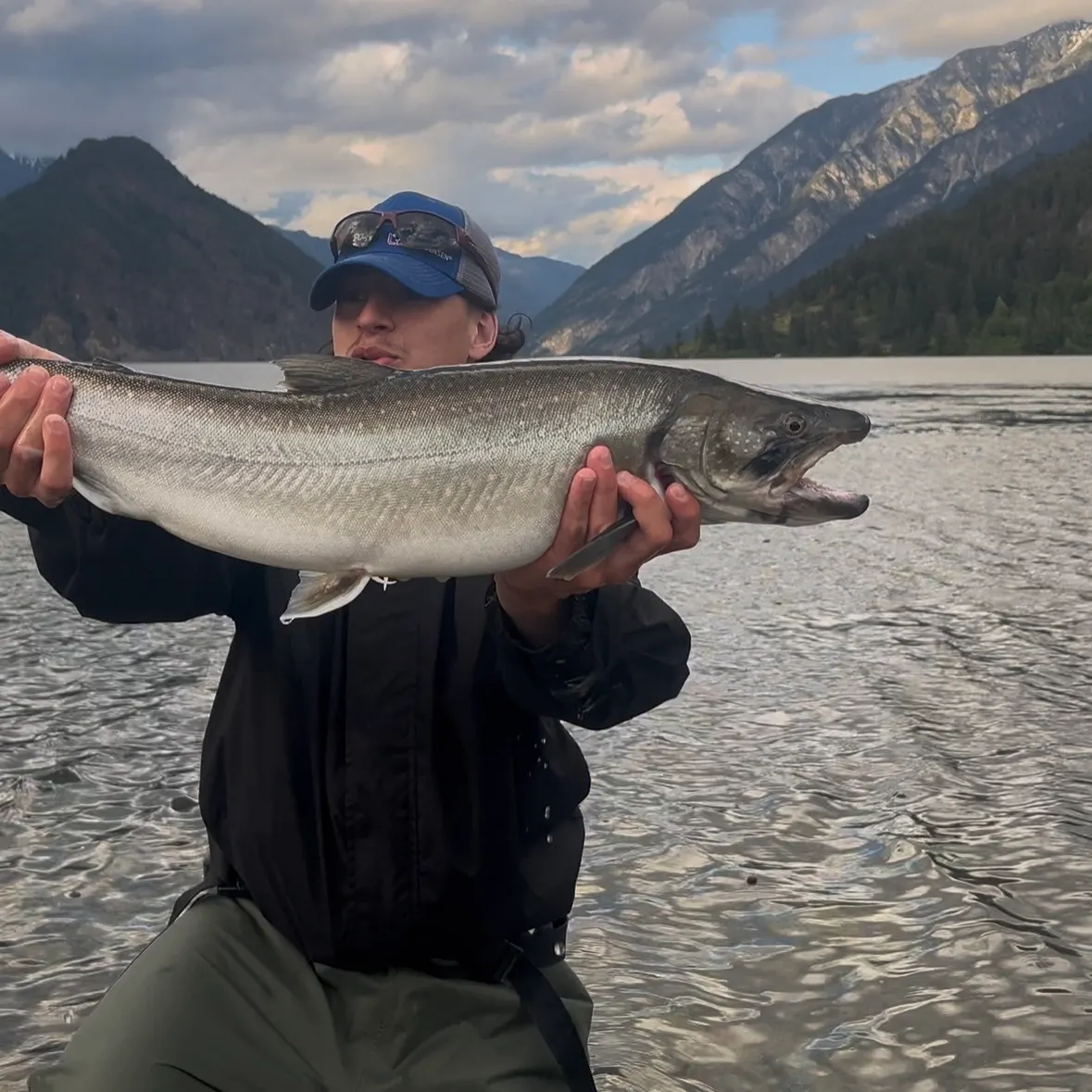 Bull trout caught on Fishbrain