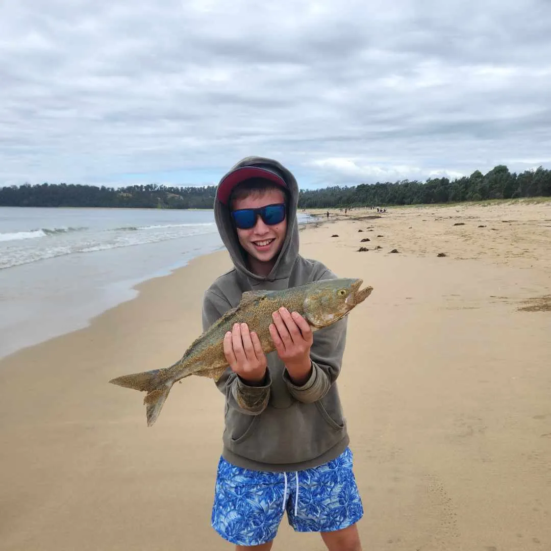 The most recent Eastern Australian salmon catches on Fishbrain