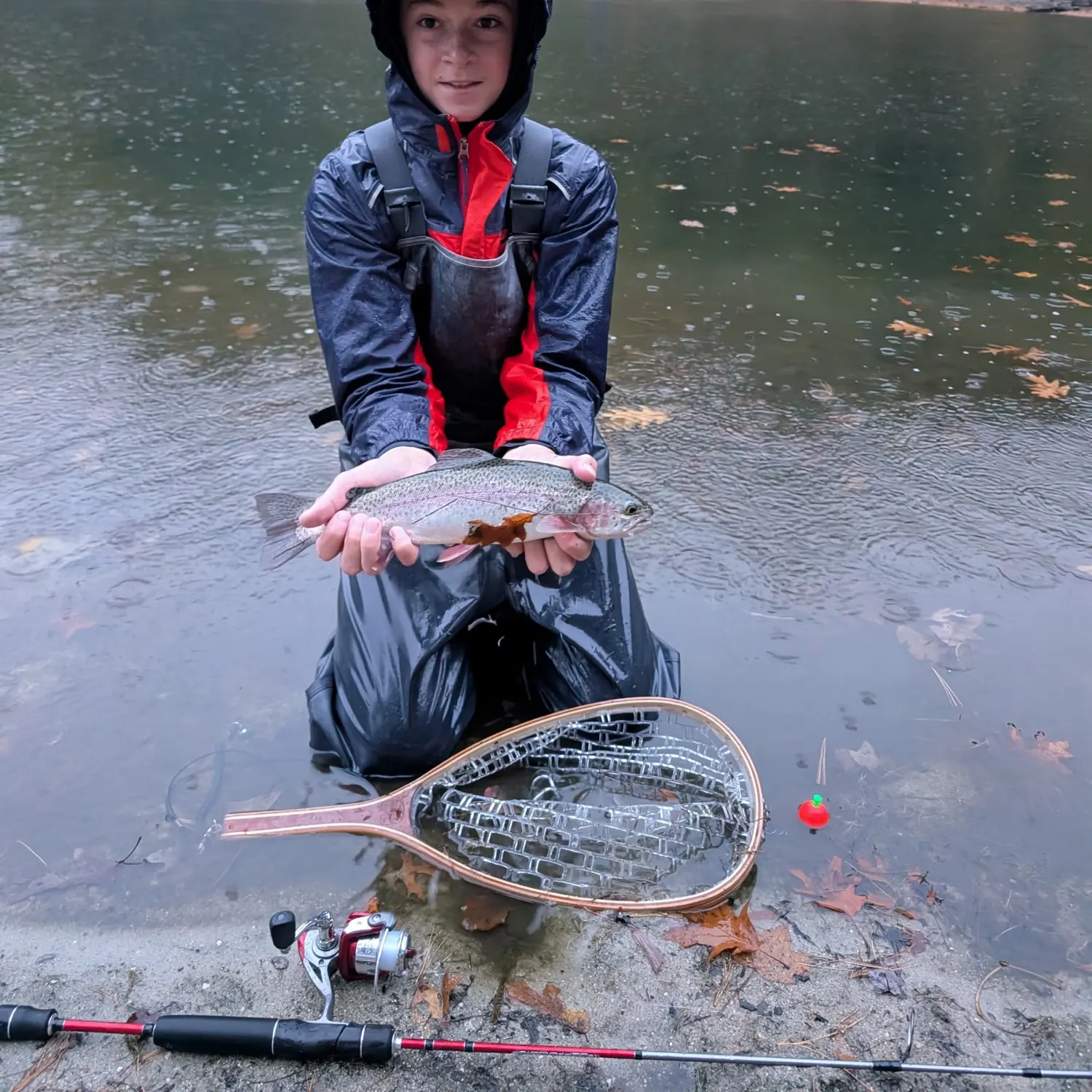 Rainbow trout caught on Fishbrain