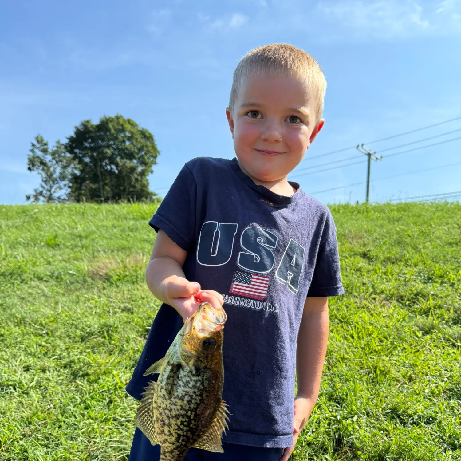 Black crappie caught on Fishbrain
