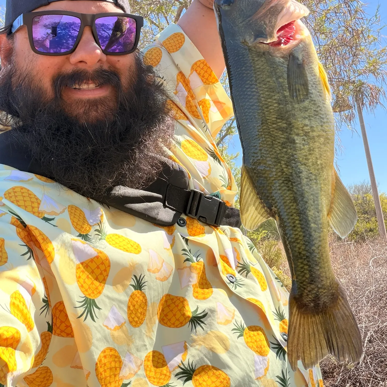 Largemouth bass caught on Fishbrain