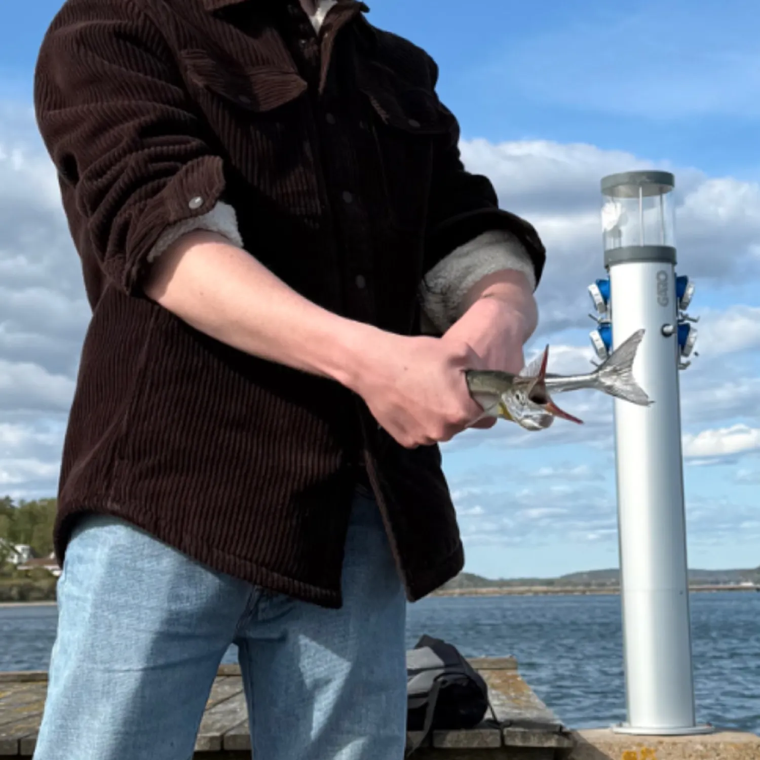 most liked catch image