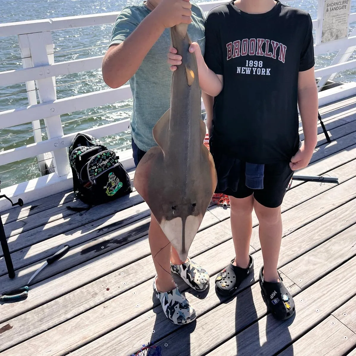The most recent Giant guitarfish catches on Fishbrain