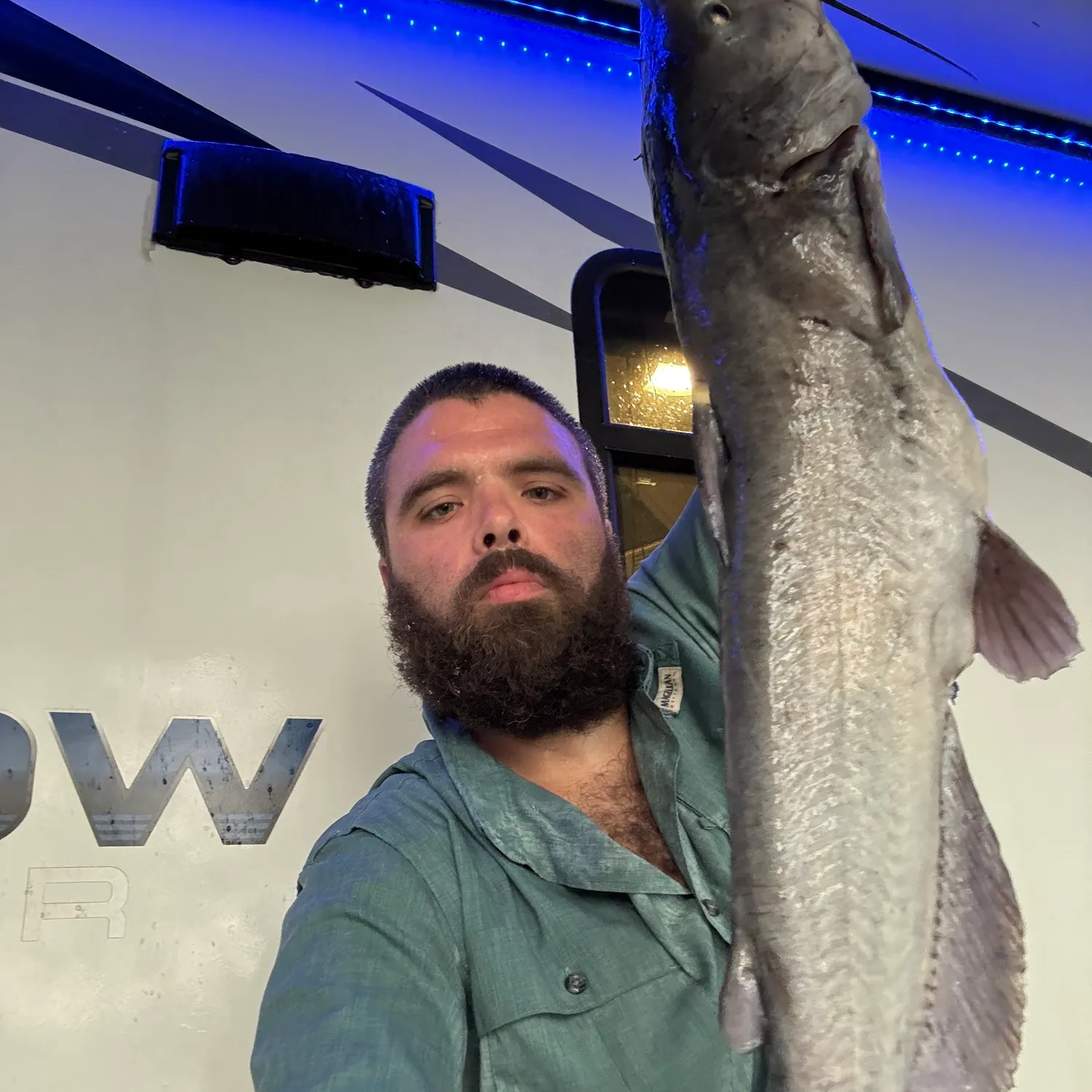Channel catfish caught on Fishbrain
