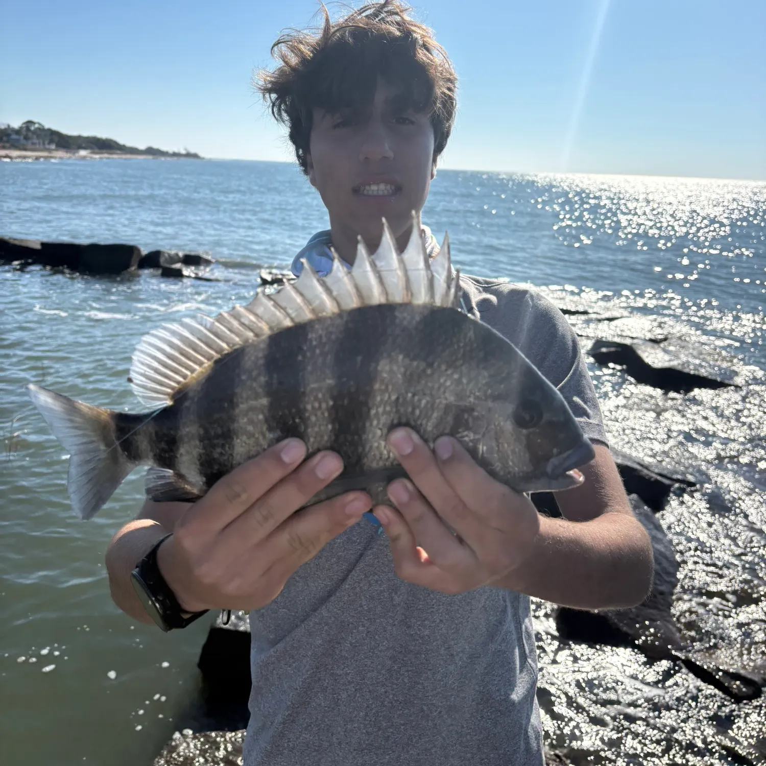 The most recent Sheepshead catches on Fishbrain