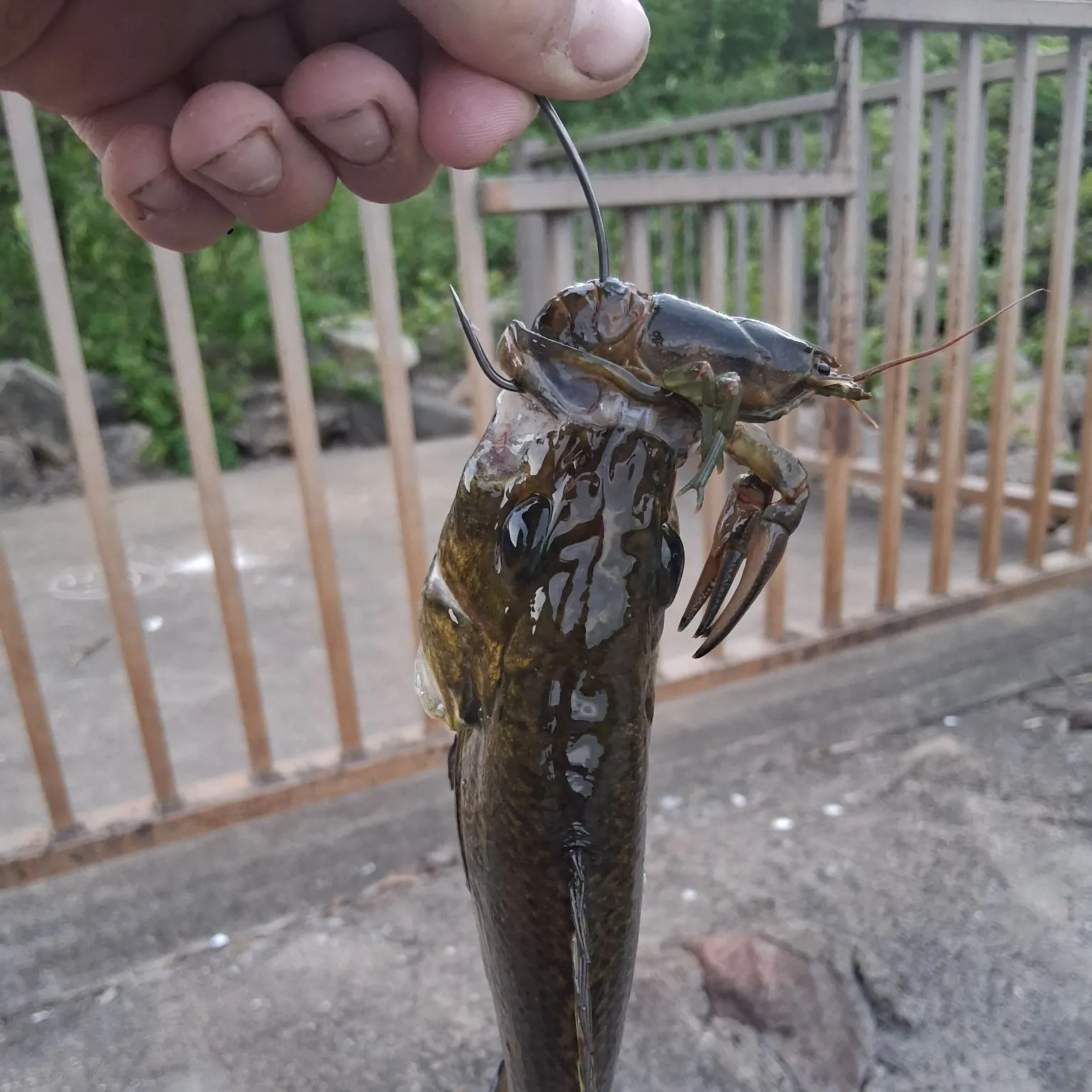 catch