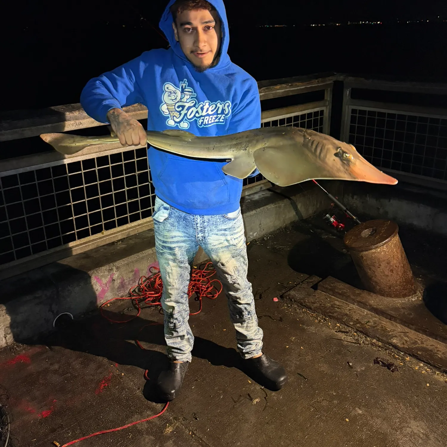 Pacific shovelnose guitarfish caught on Fishbrain