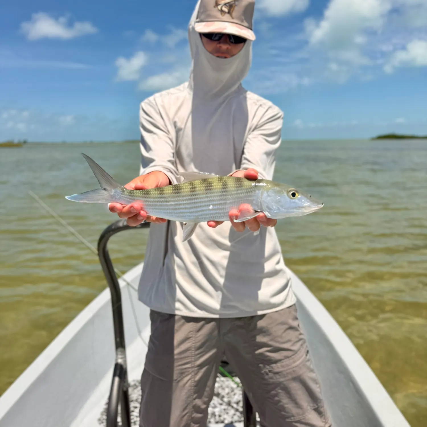 The most recent West Atlantic bonefish catches on Fishbrain