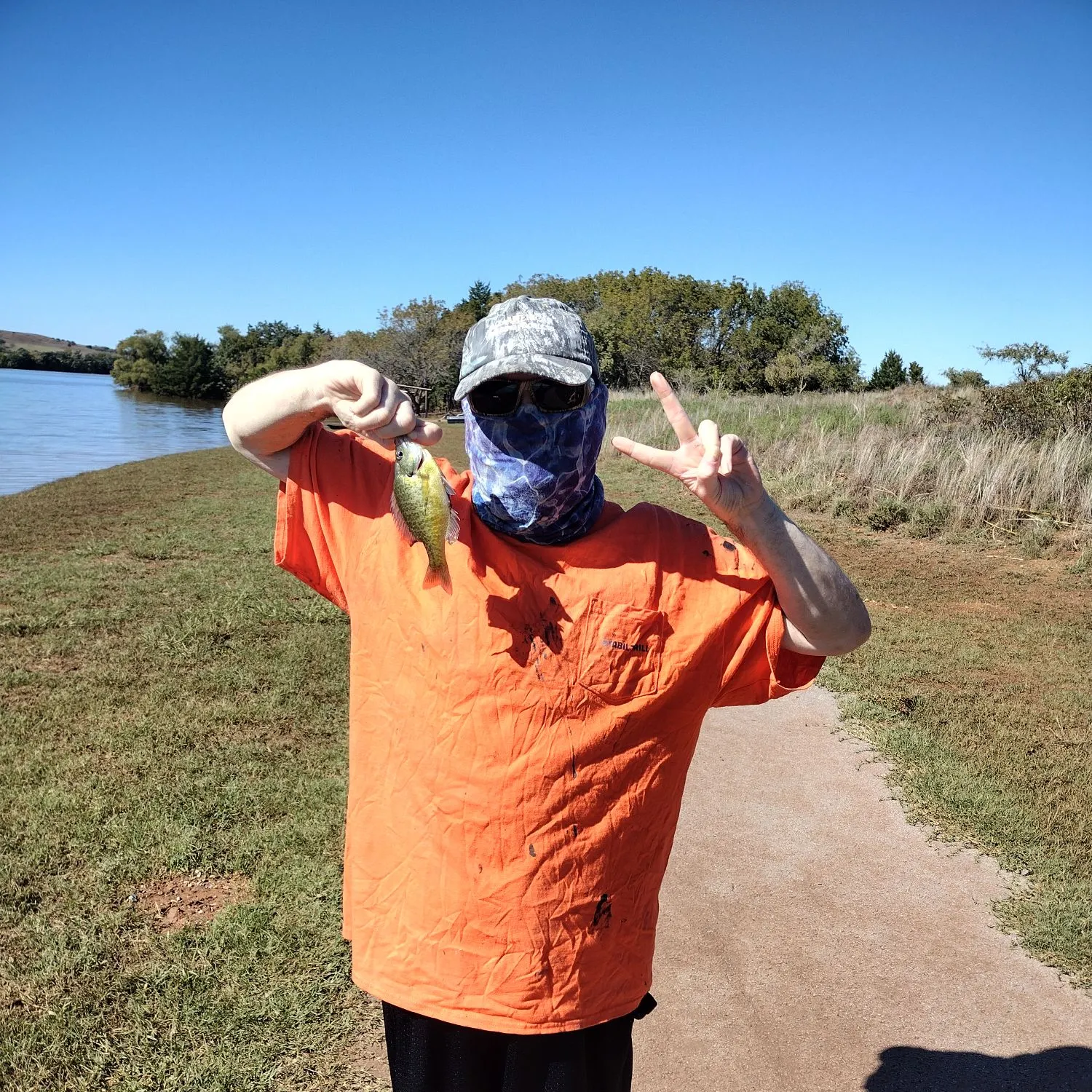 Bluegill caught on Fishbrain