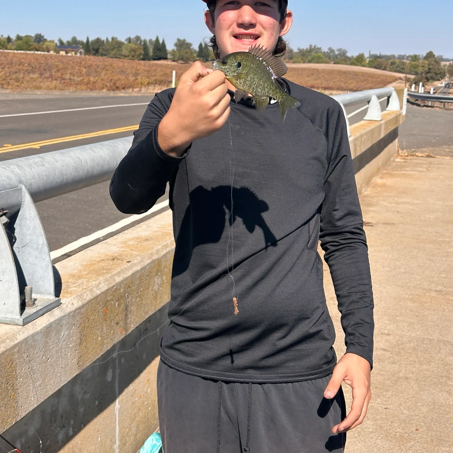 Redear sunfish caught on Fishbrain