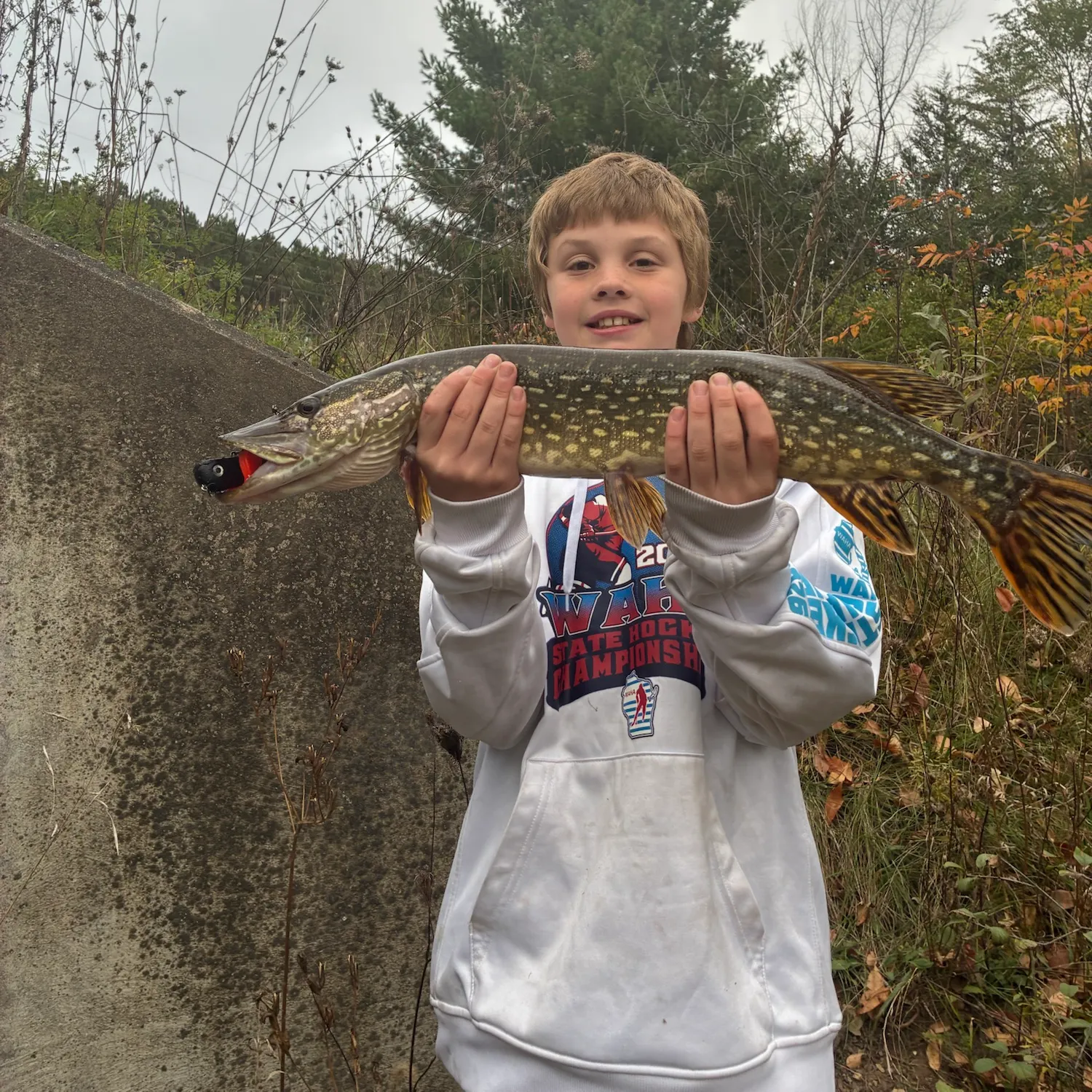 Northern pike caught on Fishbrain