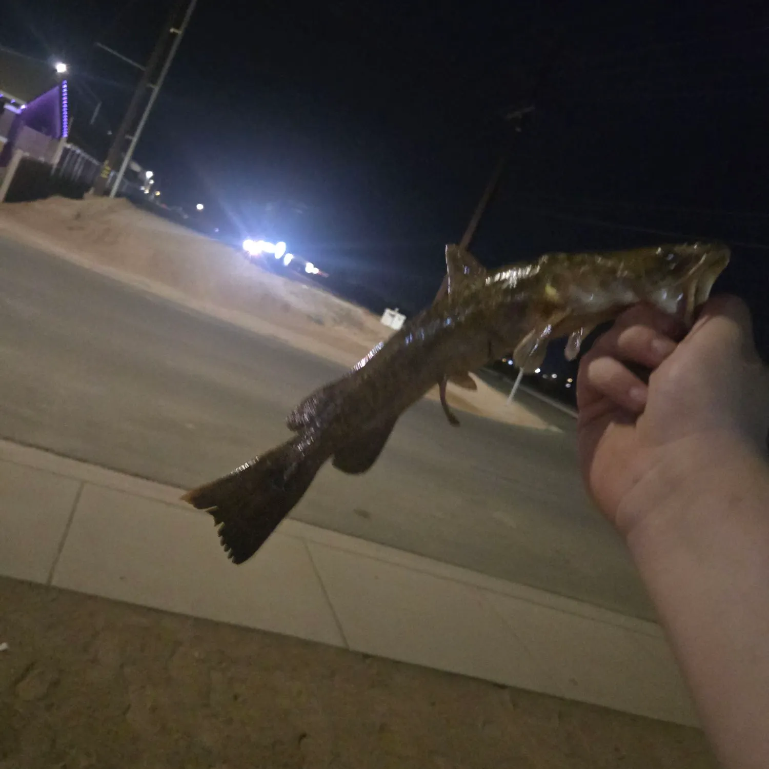catch