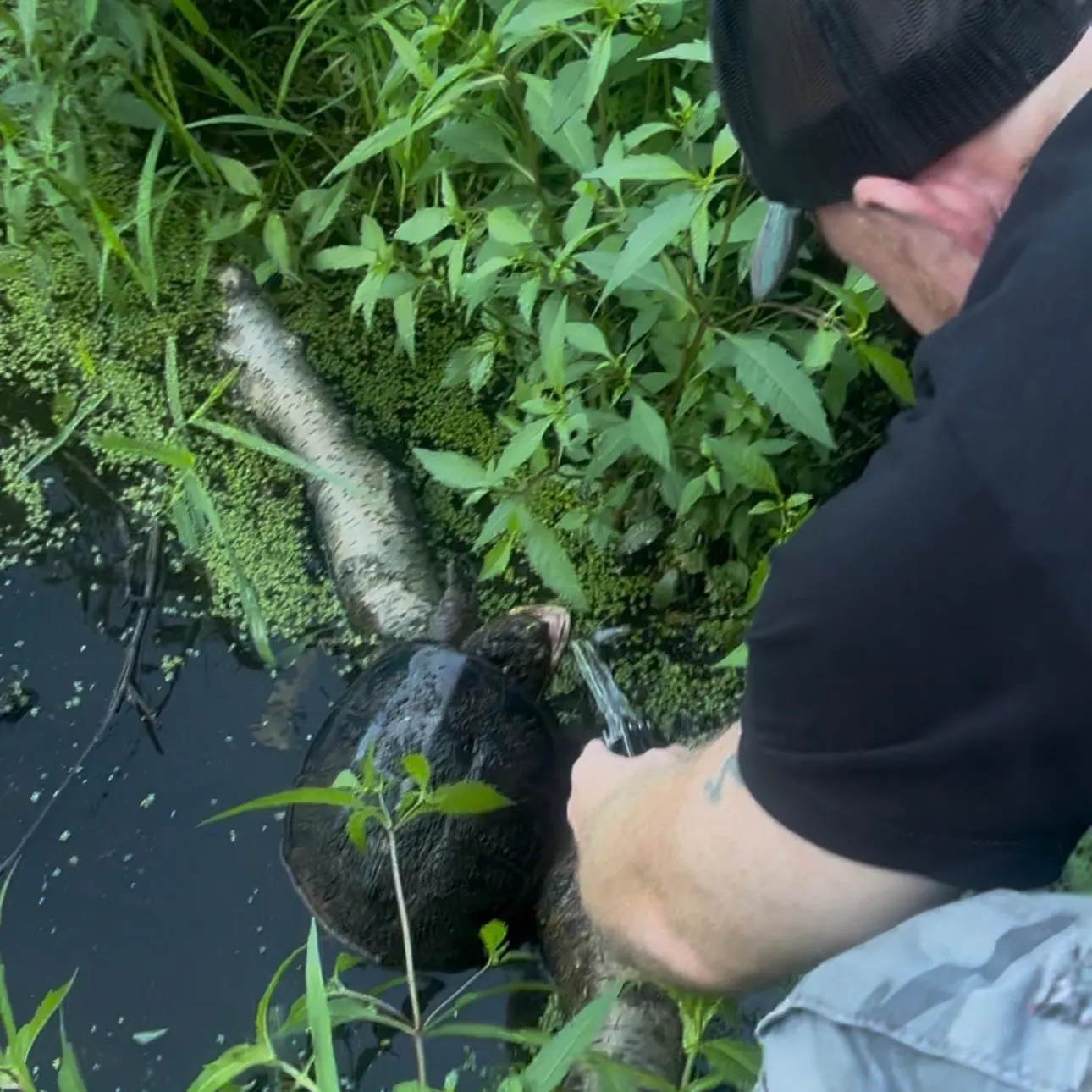 Fish caught on Fishbrain