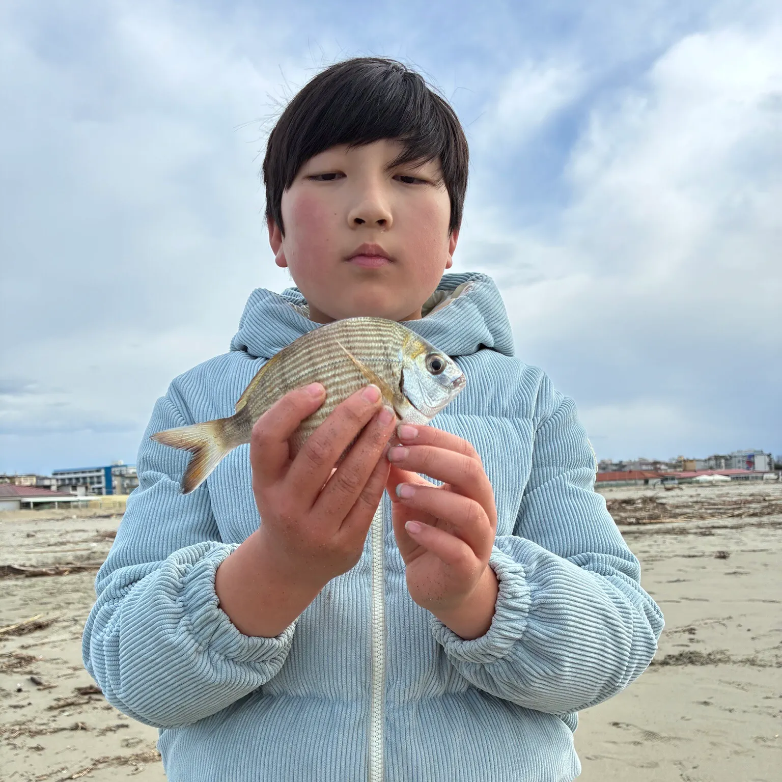 The most recent White seabream catches on Fishbrain