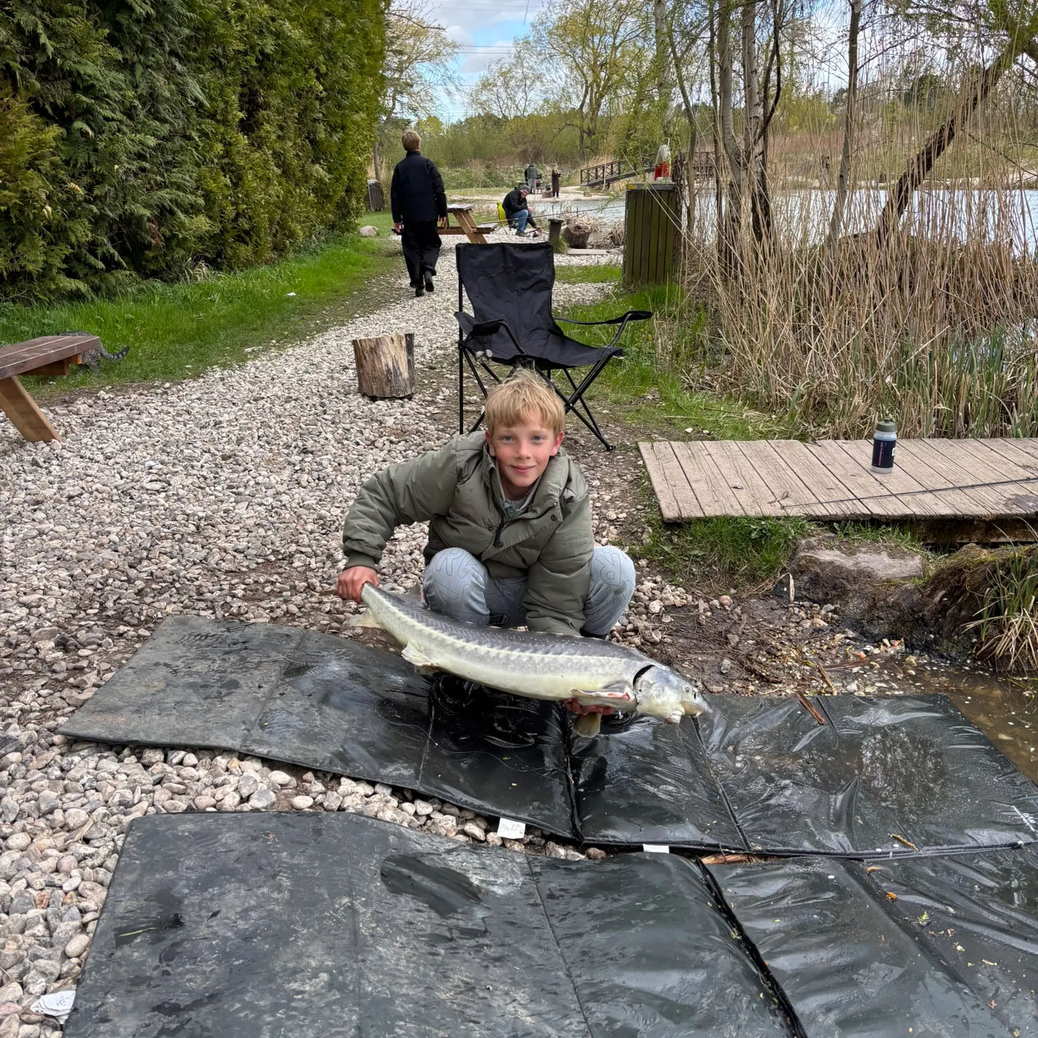 The most recent Siberian sturgeon catches on Fishbrain