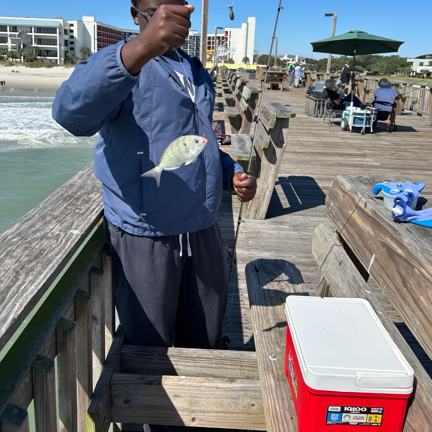 Pinfish caught on Fishbrain