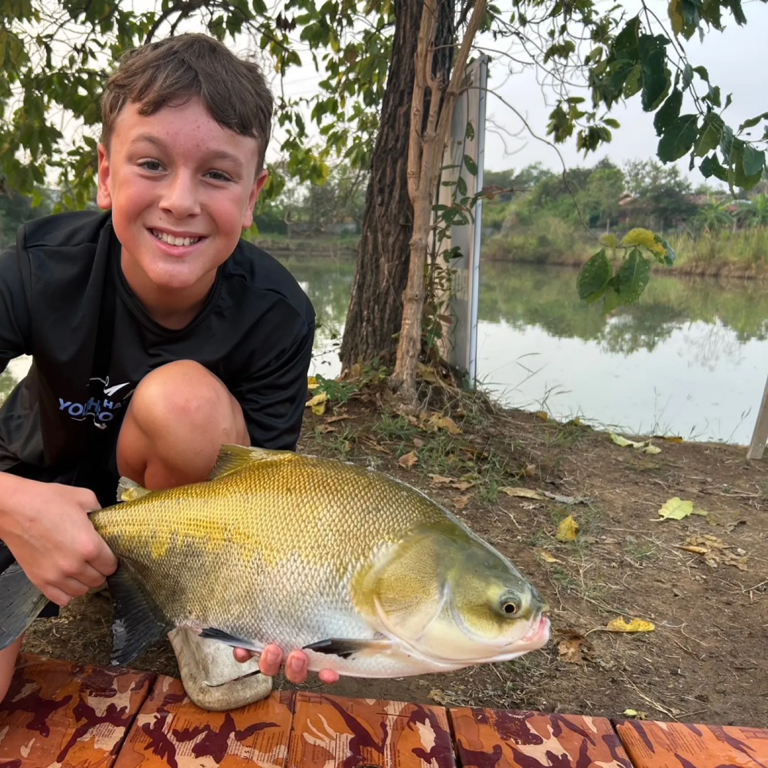 The most recent Tambacu catches on Fishbrain