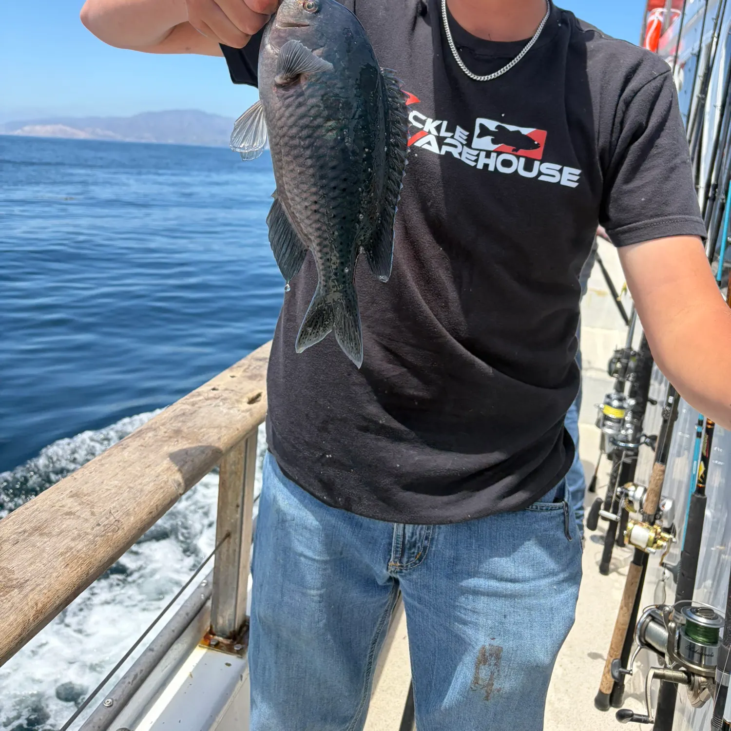 The most recent Blacksmith catches on Fishbrain
