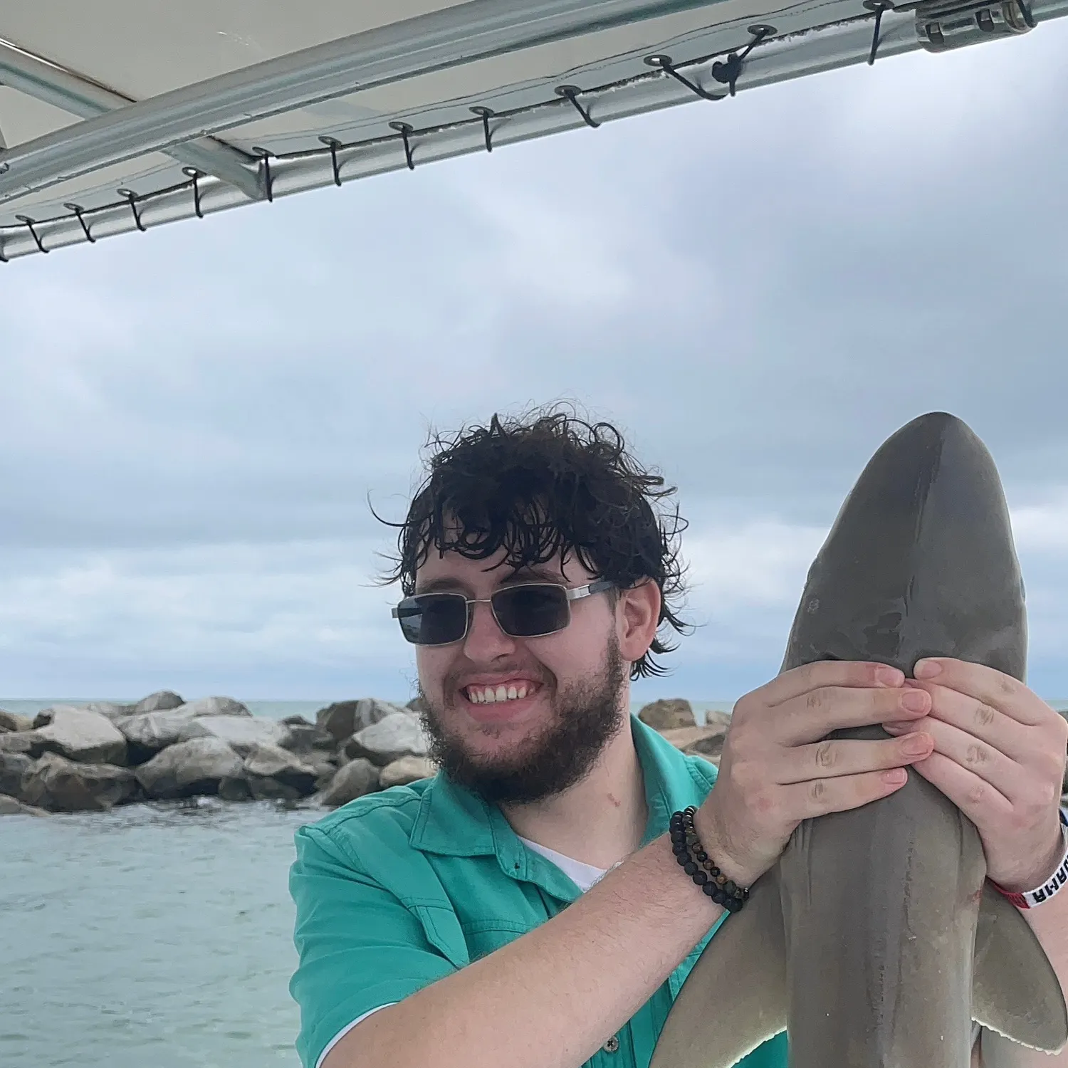 The most recent Lemon shark catches on Fishbrain
