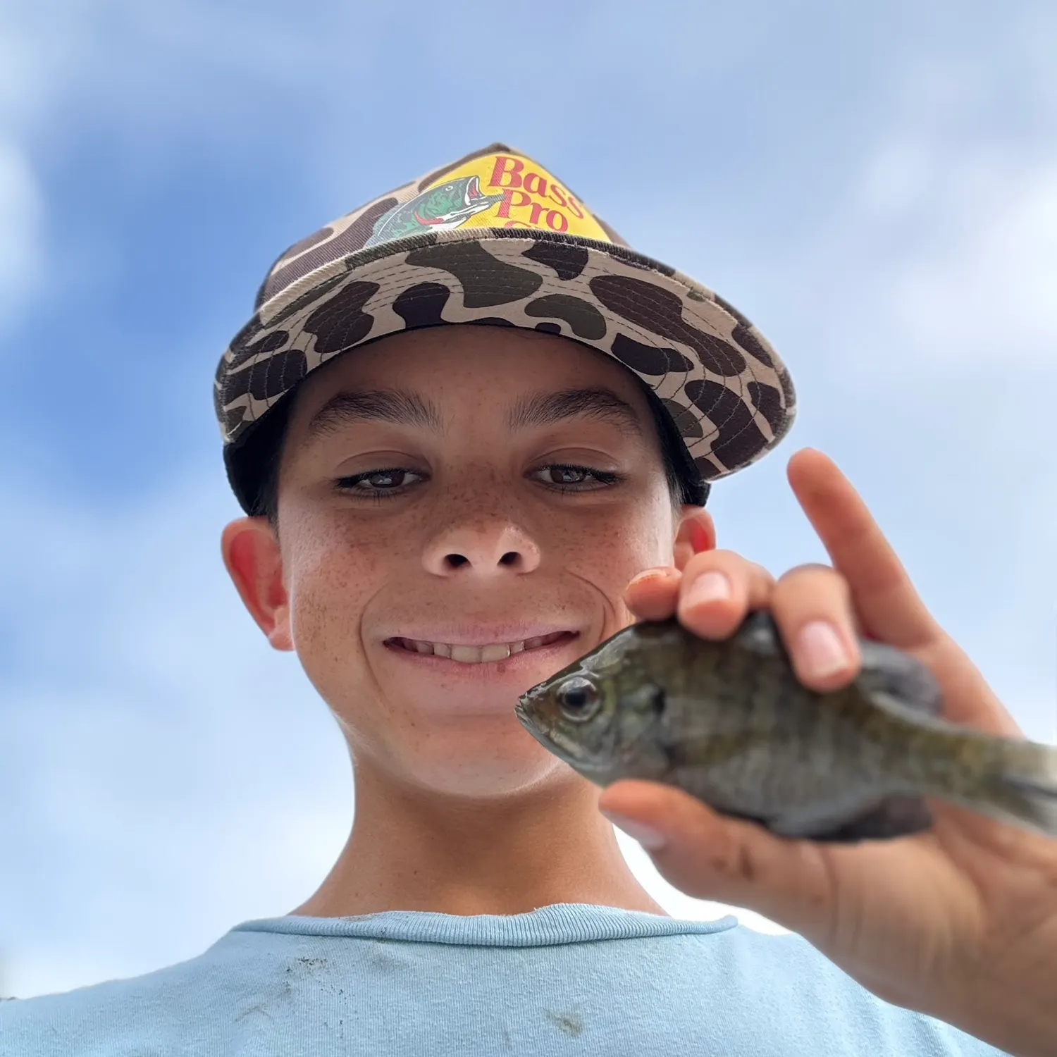 Bluegill caught on Fishbrain
