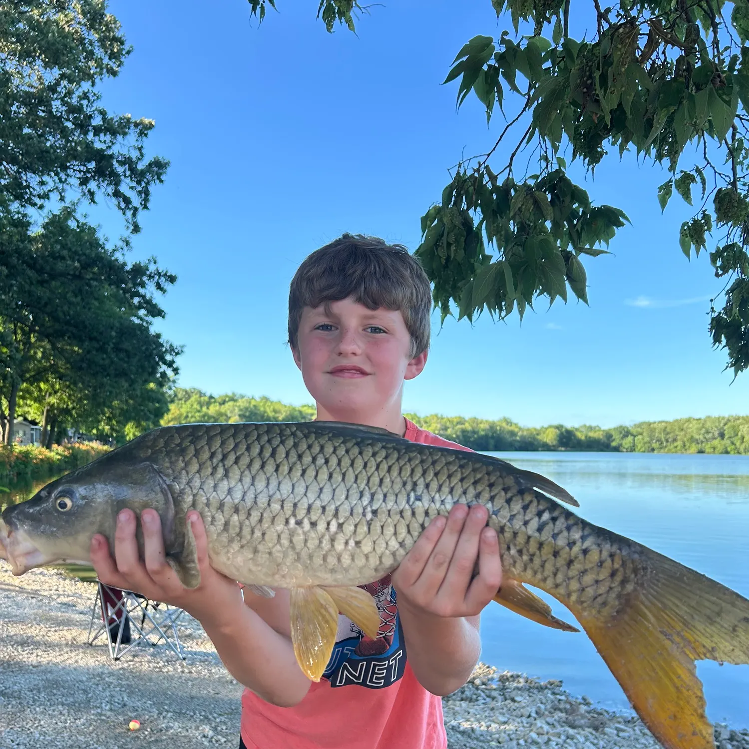 The most recent Common carp catches on Fishbrain