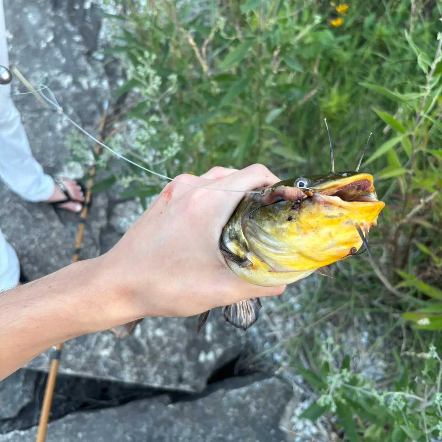 catch