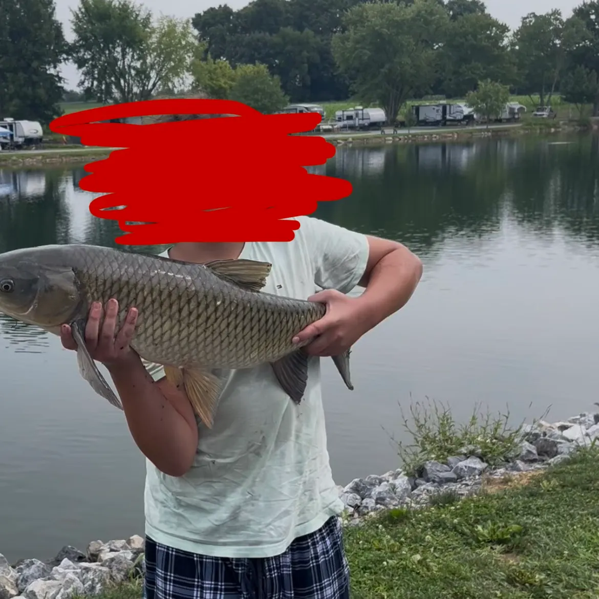 Grass carp caught on Fishbrain