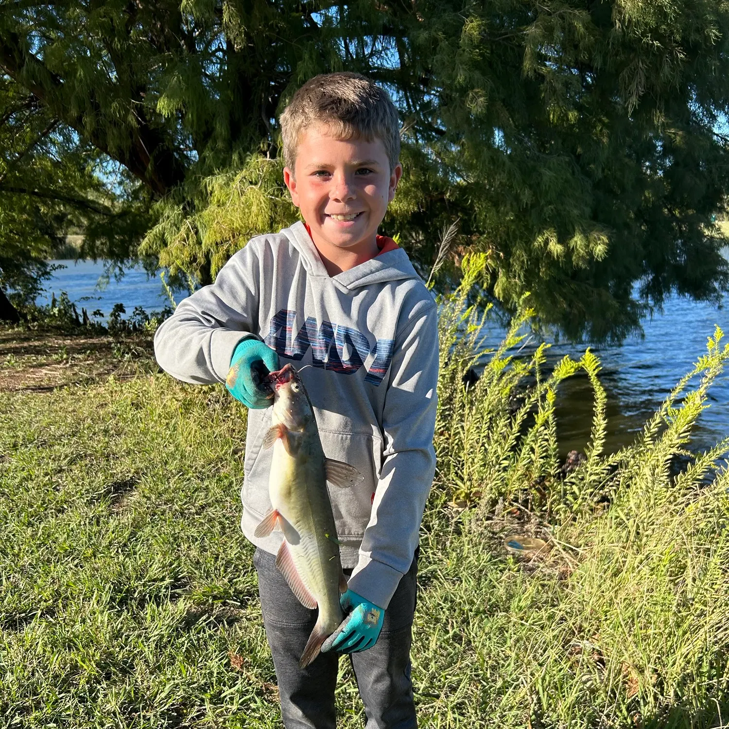 Channel catfish caught on Fishbrain