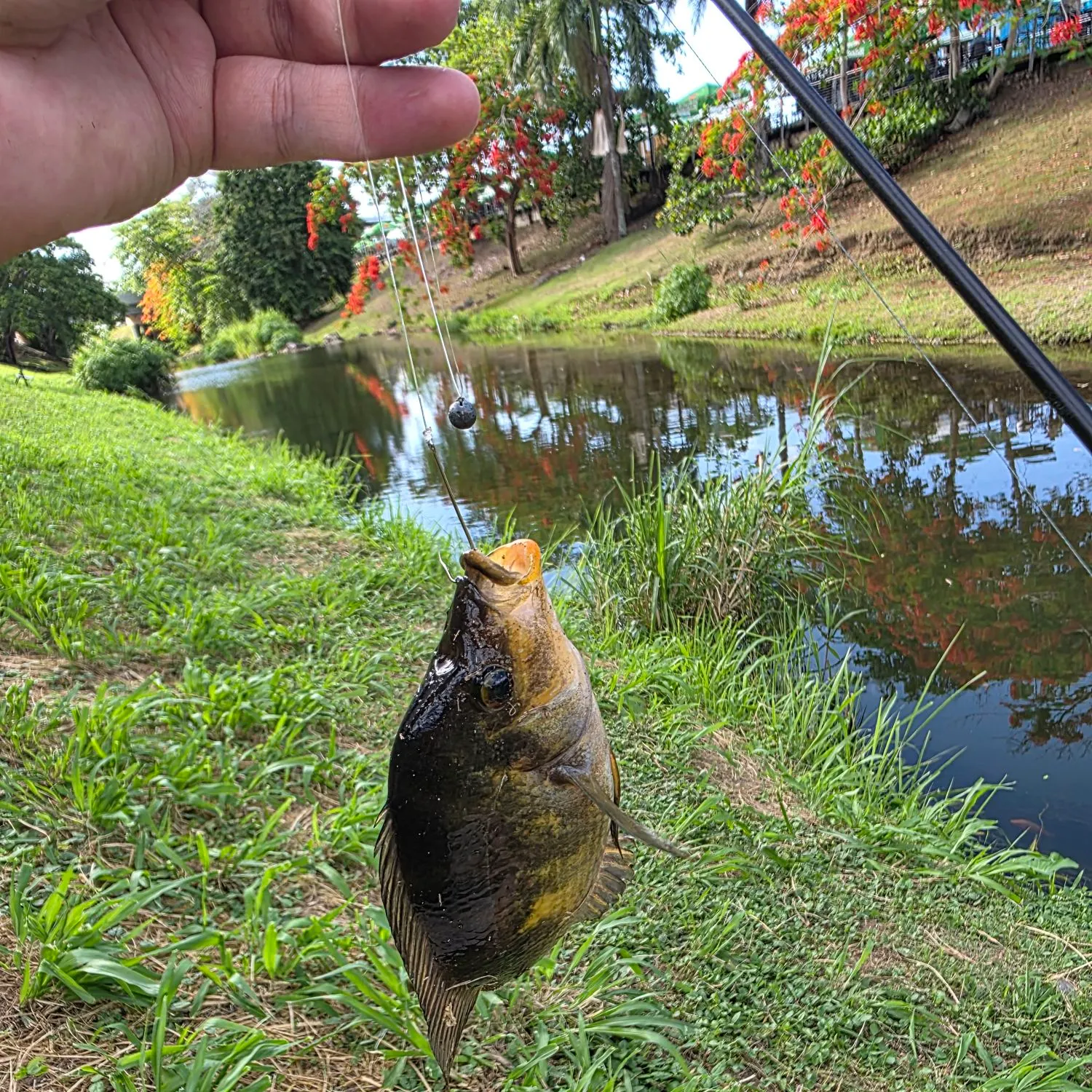 catch