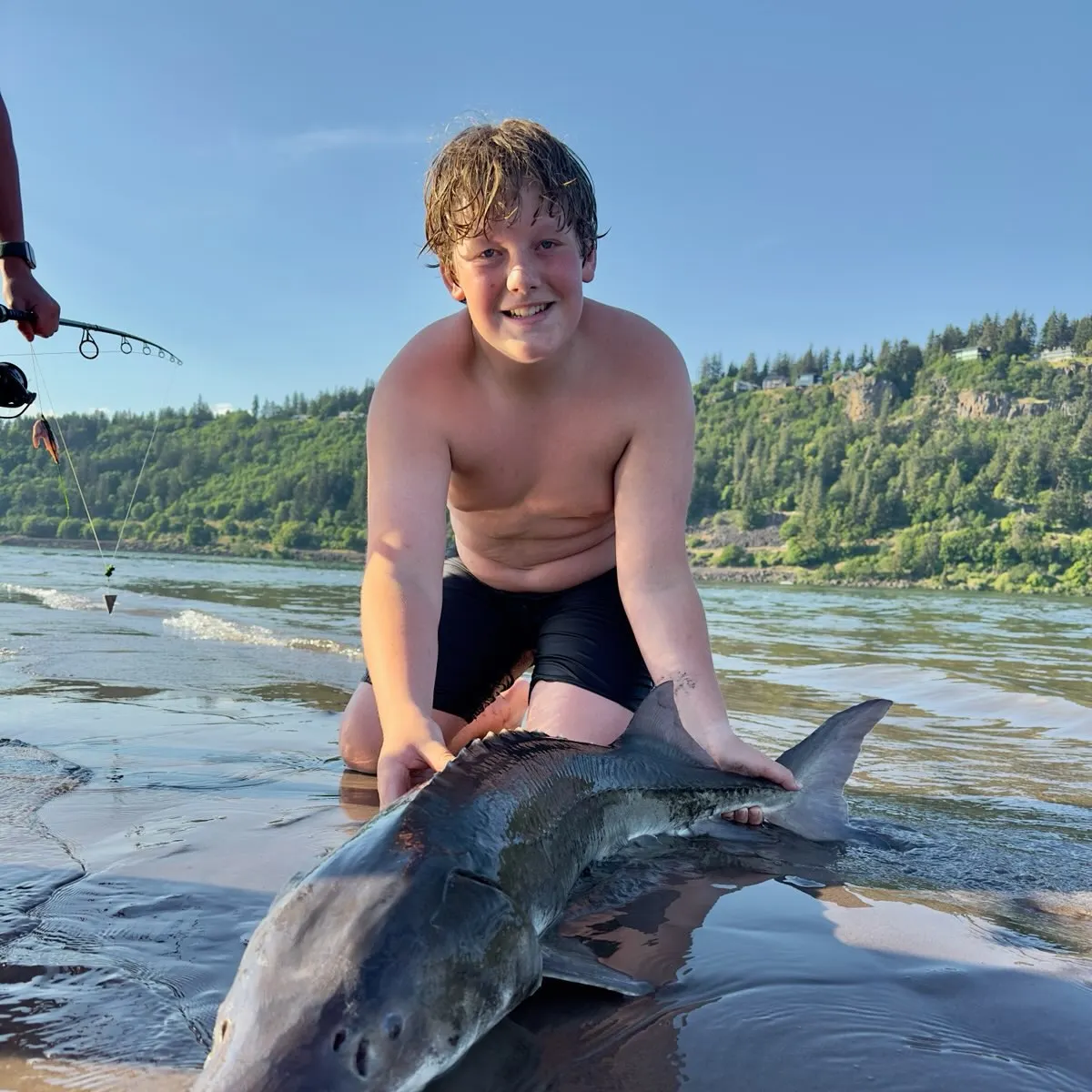 The most recent White sturgeon catches on Fishbrain