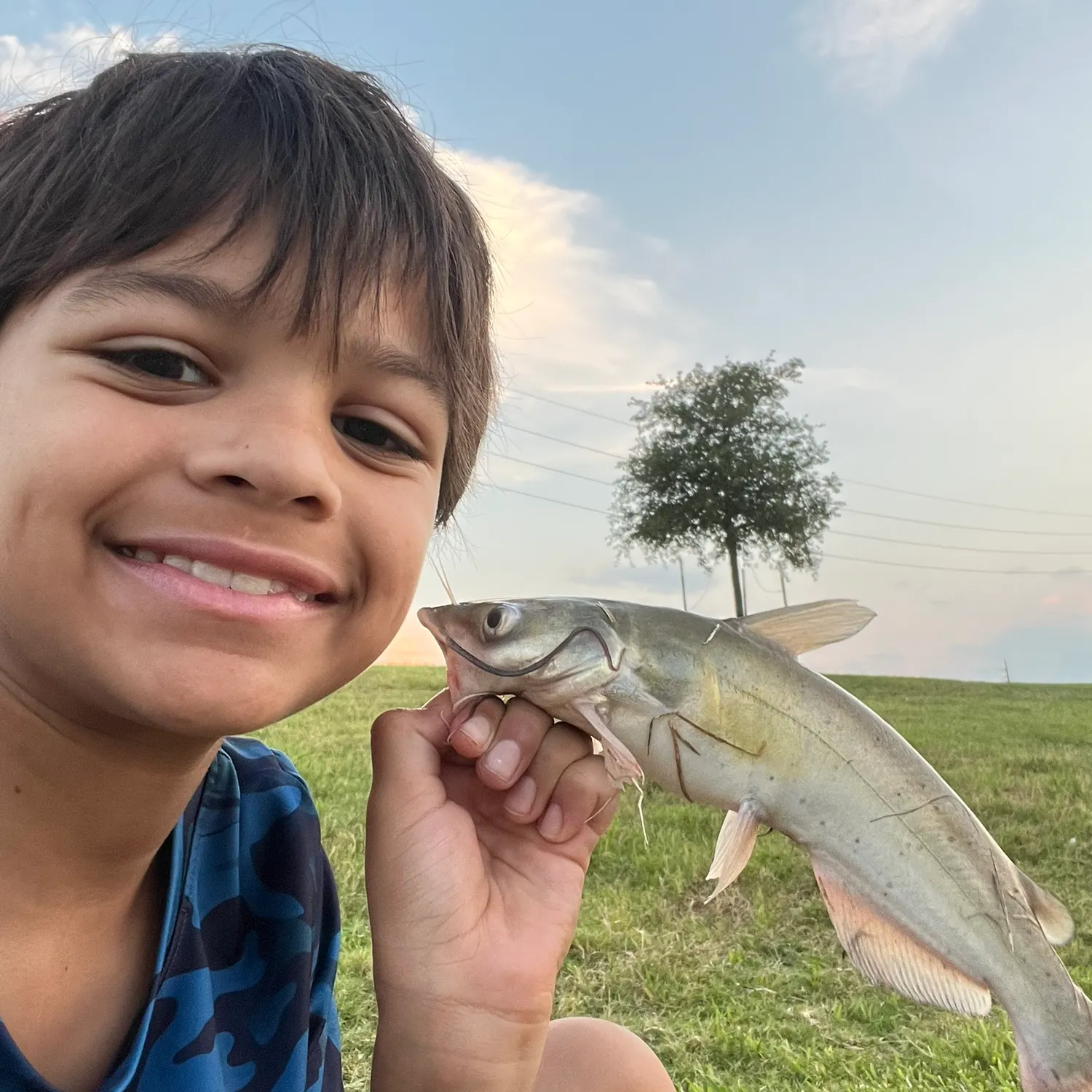 The most recent Hardhead sea catfish catches on Fishbrain